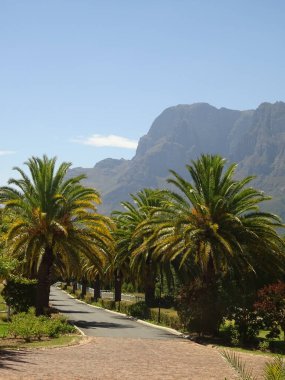 STELLENBOSCH, SOUTH AFRICA - JANUARY 2015: City center in summertime