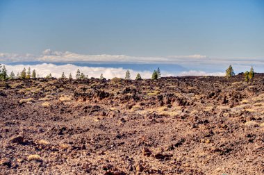 El Tabonal Negro, Teide National Park, Tenerife, Spain