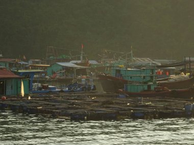 Lan Ha Bay, Northern Vietnam 