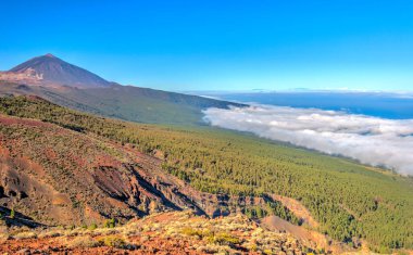 El Tabonal Negro, Teide National Park, Tenerife, Spain