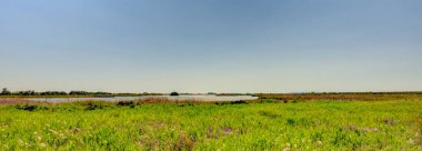 Tablas de daimiel Milli Parkı, İspanya