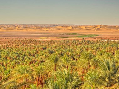 TIMIMOUN, ALGERIA - MARCH 2016: Saharan desert in sunny weather