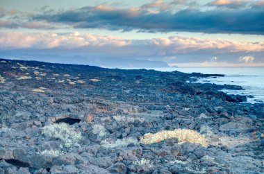 Sunrise over Guimar Badlands, Tenerife, Spain
