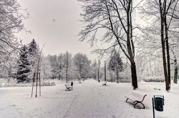 Krakow Winter Poland — Foto Stock