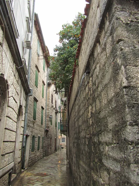 Kotor Coastal Town Montenegro Located Secluded Part Bay Kotor — Stock Fotó