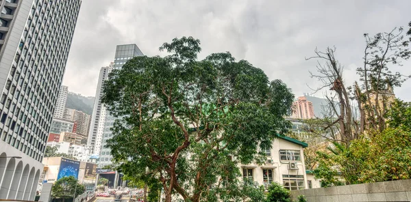 Hong Kong January 2019 Historical Center Skyline Cloudy Weather — Photo