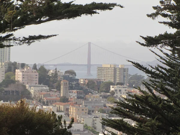 San Francisco Usa Cityscape Beautiful View — Stok fotoğraf