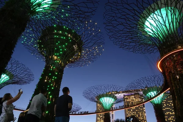 Singapore - March 2019 : Gardens by the Bay at dusk
