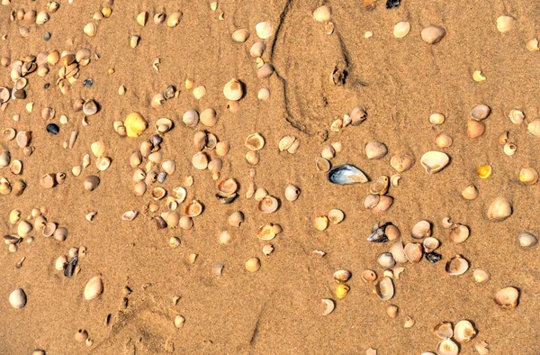 Costa Nova Beach Summertime — Foto Stock