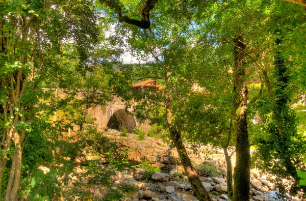 Schöne Aussicht Auf Die Natur — Stockfoto