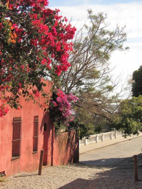 COLONIA DEL SACRAMENTO, URUGUAY - JUNE 2014 : Historical center in sunny weather
