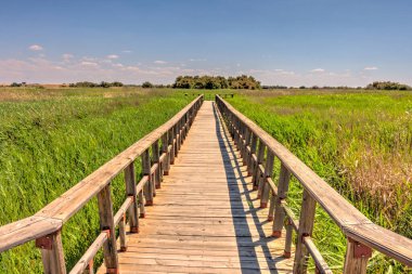 Tablas de daimiel Milli Parkı, İspanya