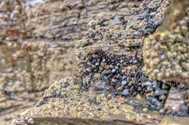 As Catedrais Beach, Galicia, Northern Spain