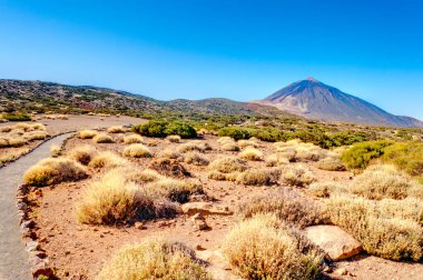 Minas de San Jose, Teide National Park, Canary Islands, Spain