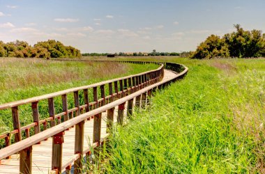 Tablas de daimiel Milli Parkı, İspanya