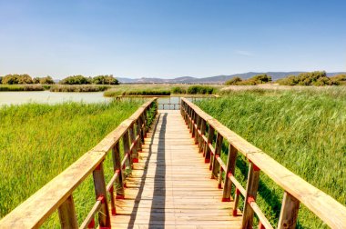 Tablas de daimiel Milli Parkı, İspanya
