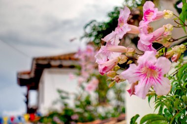 Villa de Leyva, Colombia - April 2019 : Historical center in cloudy weather