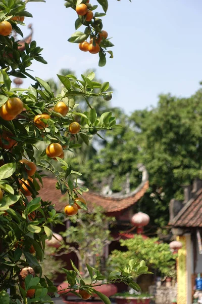 Haiphong Vietnam November 2020 Historical Center Cloudy Weather — 스톡 사진