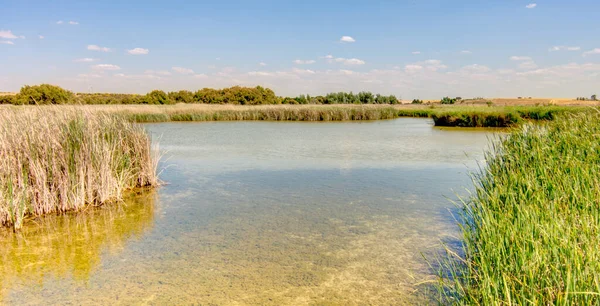 Národní Park Tabla Daimiel Španělsko — Stock fotografie