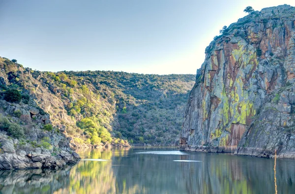 Beautiful View Nature Landscape Douro Valley — Stockfoto