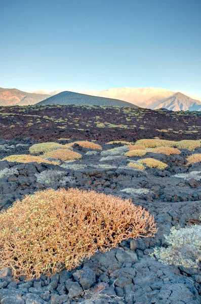Tabonal Negro Teide National Park Tenerife Spain — Fotografia de Stock
