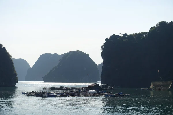 Lan Bay Northern Vietnam — Foto Stock