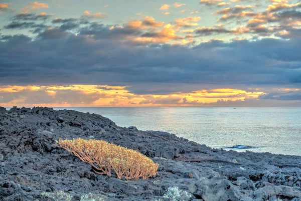 Punta Teno Tenerife Ilhas Canárias — Fotografia de Stock