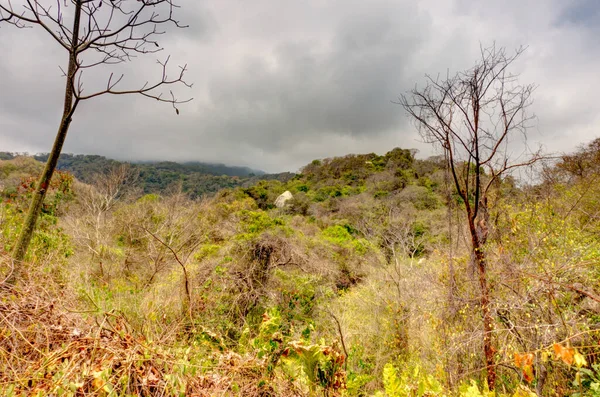 Tayrona National Park Landscape Colombia — Stockfoto
