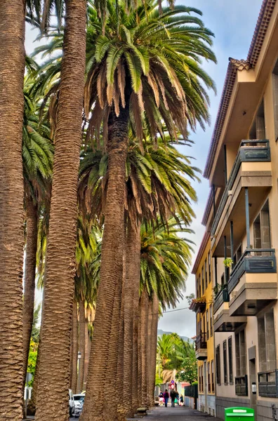 Santa Cruz Palma Spain March 2020 Historical Center Cloudy Weather — Foto Stock