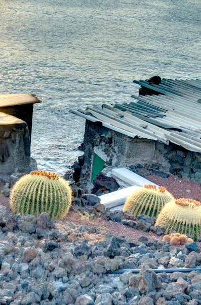 Punta Teno Tenerife Islas Canarias — Foto de Stock