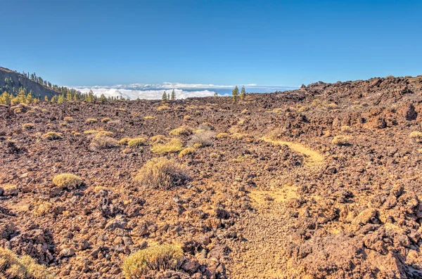 Tabonal Negro Teide National Park Tenerife Spain — Stock fotografie