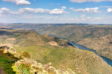 beautiful view of nature landscape. The Douro Valley 