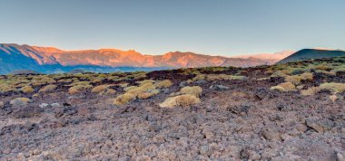 El Tabonal Negro, Teide National Park, Tenerife, Spain