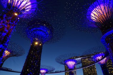 Singapore - March 2019 : Gardens by the Bay at dusk