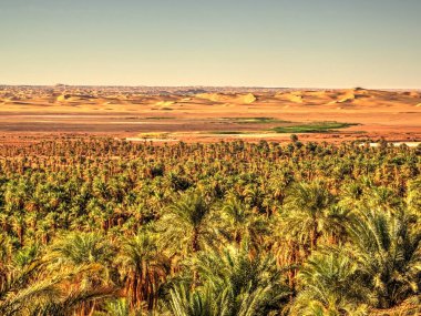 TIMIMOUN, ALGERIA - MARCH 2016: Saharan desert in sunny weather