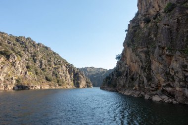 beautiful view of nature landscape. The Douro Valley 