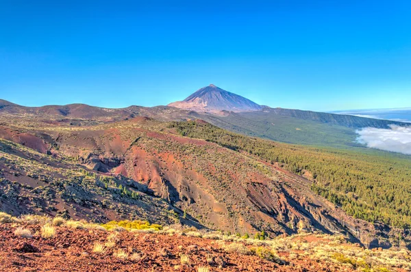 Tabonal Negro Teide National Park Tenerife Spain — Foto de Stock