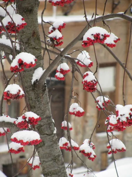 Banska Stiavnica Slovakia December 2014 Historical Center Wintertime — Foto Stock