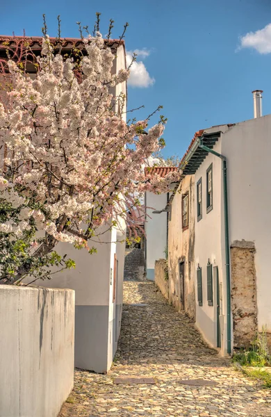 Braganca Portugal March 2019 Historical Center Springtime — Stok fotoğraf