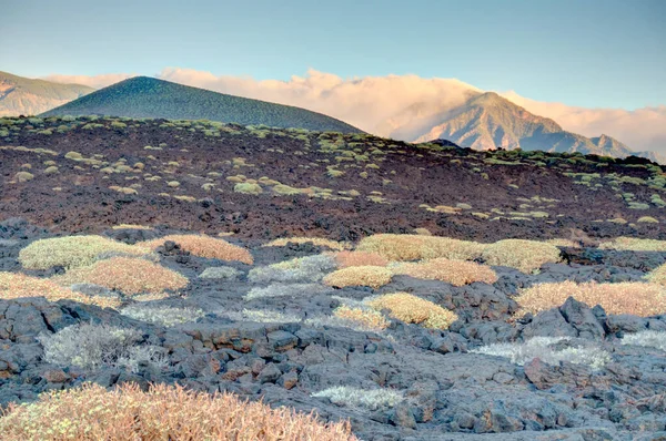 Tabonal Negro Teide National Park Tenerife Spain — Stock Fotó