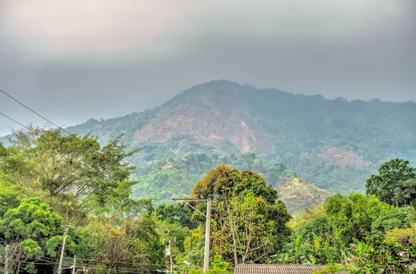 Santa Marta Colombia April 2019 Quinta San Pedro Alejandrino Bolivar — стокове фото