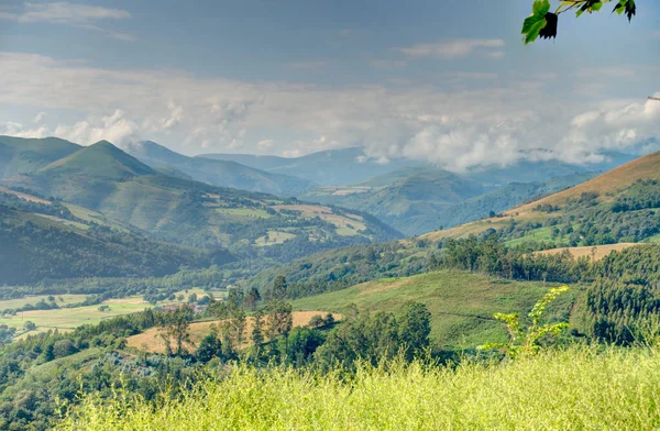 Beautiful Landscape Cantabria Northern Spain — 图库照片