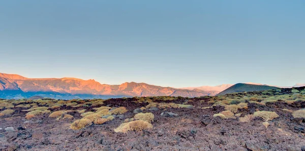 Tabonal Negro Teide National Park Tenerife Spain — Photo