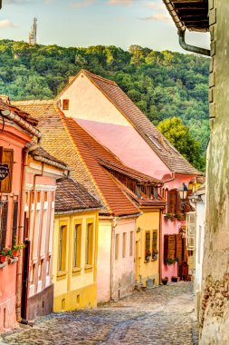 Sighioara, Tarnava Mare River in Mures County, Romania. Historic region of Transylvania