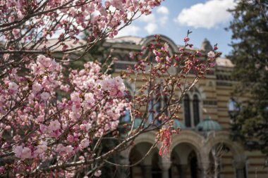 Sofia, Bulgaria - April 2021 : Historical center in sunny weather