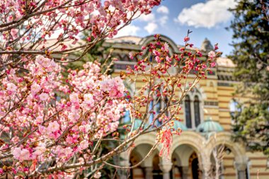 Sofia, Bulgaria - April 2021 : Historical center in sunny weather