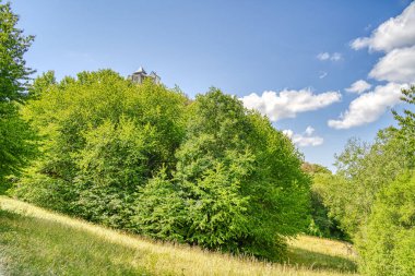 Forest and Nature near Castle of Fuzer, Zemplin, Hungary