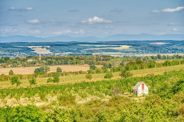 View Boldogko Castle Zemplen Mountains Hungary — ストック写真