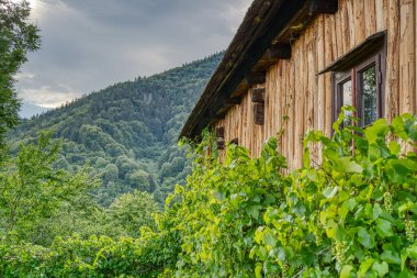 Doğu Avrupa, Slovakya 'daki güzel Vlkolinec geleneksel köyünde ahşap beyaz kulübe