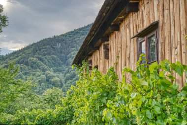 Doğu Avrupa, Slovakya 'daki güzel Vlkolinec geleneksel köyünde ahşap beyaz kulübe